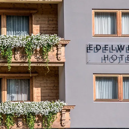 Edelweiss 겔로스
